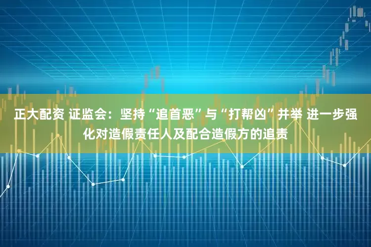 正大配资 证监会：坚持“追首恶”与“打帮凶”并举 进一步强化对造假责任人及配合造假方的追责